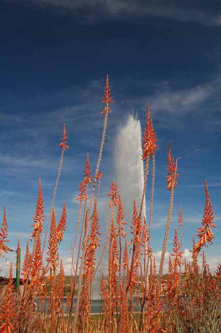 Fountain Hills 